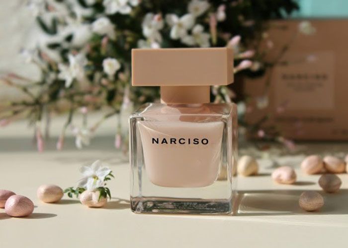 Lịch sử nước hoa Narciso Rodriguez Poudree